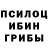 Галлюциногенные грибы Psilocybe Er'duo Bei