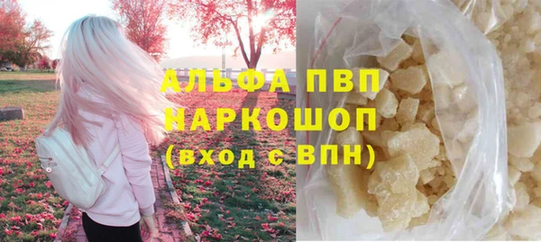 стаф Алексин