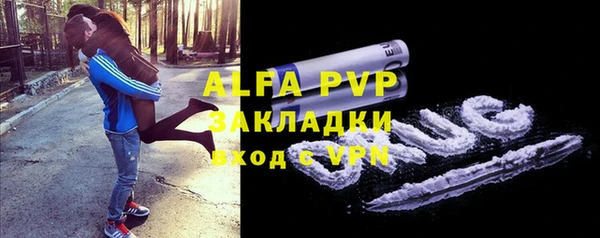 стаф Алексин