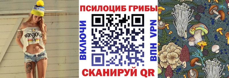 Псилоцибиновые грибы GOLDEN TEACHER  Жуковка 
